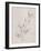 Soft Summer Sketches III-James Wiens-Framed Art Print