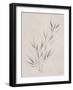 Soft Summer Sketches III-James Wiens-Framed Art Print