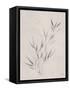 Soft Summer Sketches III-James Wiens-Framed Stretched Canvas