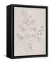 Soft Summer Sketches IV-James Wiens-Framed Stretched Canvas