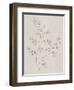 Soft Summer Sketches IV-James Wiens-Framed Art Print