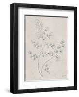 Soft Summer Sketches IV-James Wiens-Framed Art Print