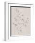 Soft Summer Sketches IV-James Wiens-Framed Art Print