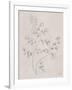 Soft Summer Sketches IV-James Wiens-Framed Art Print