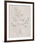 Soft Summer Sketches IV-James Wiens-Framed Art Print