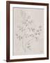 Soft Summer Sketches IV-James Wiens-Framed Art Print