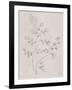 Soft Summer Sketches IV-James Wiens-Framed Art Print