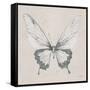 Soft Summer Sketches V-James Wiens-Framed Stretched Canvas