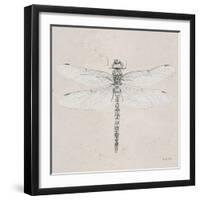 Soft Summer Sketches VI-James Wiens-Framed Art Print