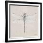 Soft Summer Sketches VI-James Wiens-Framed Art Print