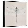 Soft Summer Sketches VI-James Wiens-Framed Stretched Canvas