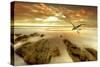 Soft Sunrise on the Beach 4-Carlos Casamayor-Stretched Canvas