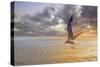Soft Sunrise on the Beach 5-Carlos Casamayor-Stretched Canvas
