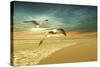 Soft Sunrise on the Beach 6-Carlos Casamayor-Stretched Canvas