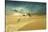 Soft Sunrise on the Beach 6-Carlos Casamayor-Stretched Canvas
