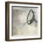 Soft Touch I-Anna Polanski-Framed Art Print