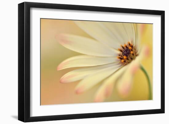 Soft Touch II-Heidi Westum-Framed Photographic Print