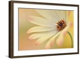 Soft Touch II-Heidi Westum-Framed Photographic Print