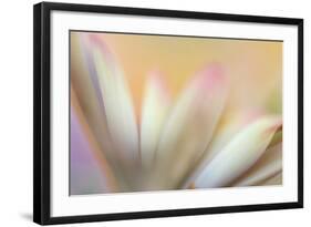 Soft Touch-Heidi Westum-Framed Photographic Print