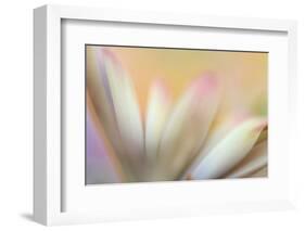 Soft Touch-Heidi Westum-Framed Photographic Print