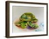 Soft Toy Turtle-Ashwini Rudraksi-Framed Art Print