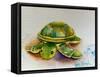 Soft Toy Turtle-Ashwini Rudraksi-Framed Stretched Canvas