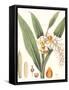 Soft Tropical I-null-Framed Stretched Canvas