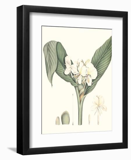 Soft Tropical V-null-Framed Art Print