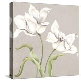 Soft Tulip I-Ellen Hudson-Stretched Canvas