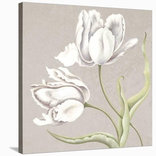 Soft Tulip II-Ellen Hudson-Stretched Canvas