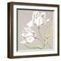 Soft Tulip II-Ellen Hudson-Framed Art Print