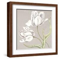 Soft Tulip II-Ellen Hudson-Framed Art Print