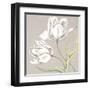 Soft Tulip II-Ellen Hudson-Framed Art Print