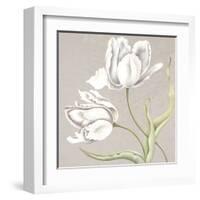 Soft Tulip II-Ellen Hudson-Framed Art Print