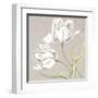 Soft Tulip II-Ellen Hudson-Framed Art Print