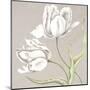 Soft Tulip II-Ellen Hudson-Mounted Art Print