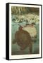 Soft Turtles-null-Framed Stretched Canvas