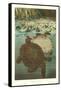 Soft Turtles-null-Framed Stretched Canvas