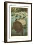 Soft Turtles-null-Framed Art Print