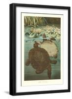 Soft Turtles-null-Framed Art Print