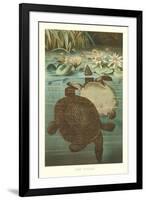 Soft Turtles-null-Framed Art Print