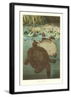 Soft Turtles-null-Framed Art Print