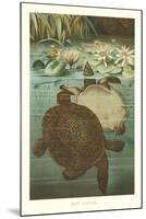 Soft Turtles-null-Mounted Art Print