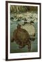 Soft Turtles-null-Framed Art Print