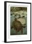 Soft Turtles-null-Framed Art Print