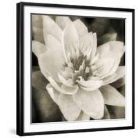 Soft Water Lily-Pete Kelly-Framed Giclee Print