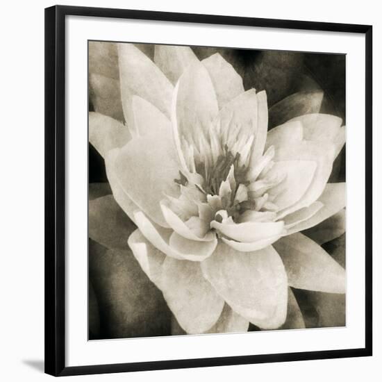 Soft Water Lily-Pete Kelly-Framed Giclee Print