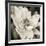 Soft Water Lily-Pete Kelly-Framed Giclee Print