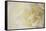 Soft White Begonia II-Rita Crane-Framed Stretched Canvas