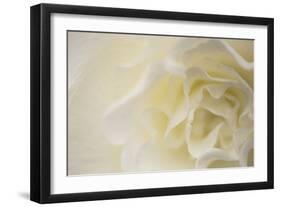 Soft White Begonia II-Rita Crane-Framed Photographic Print